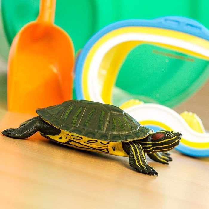 Red eared sales slider turtle toys