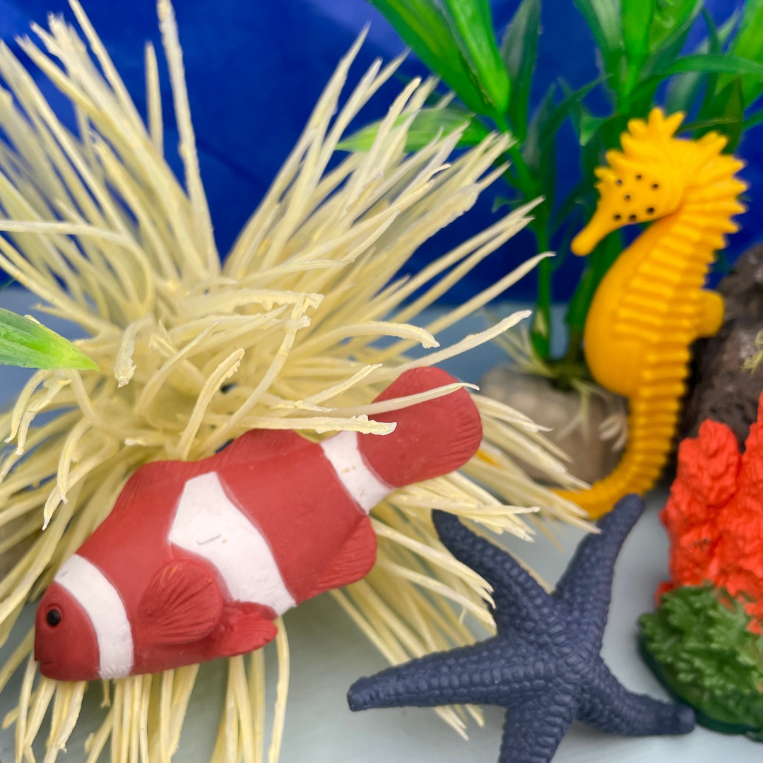 Coral Reef  TOOB® | TOOBS® - Mini Toys | Safari Ltd®
