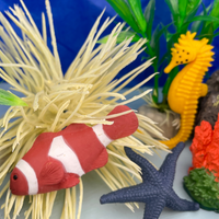 Coral Reef  TOOB® | TOOBS® - Mini Toys | Safari Ltd®