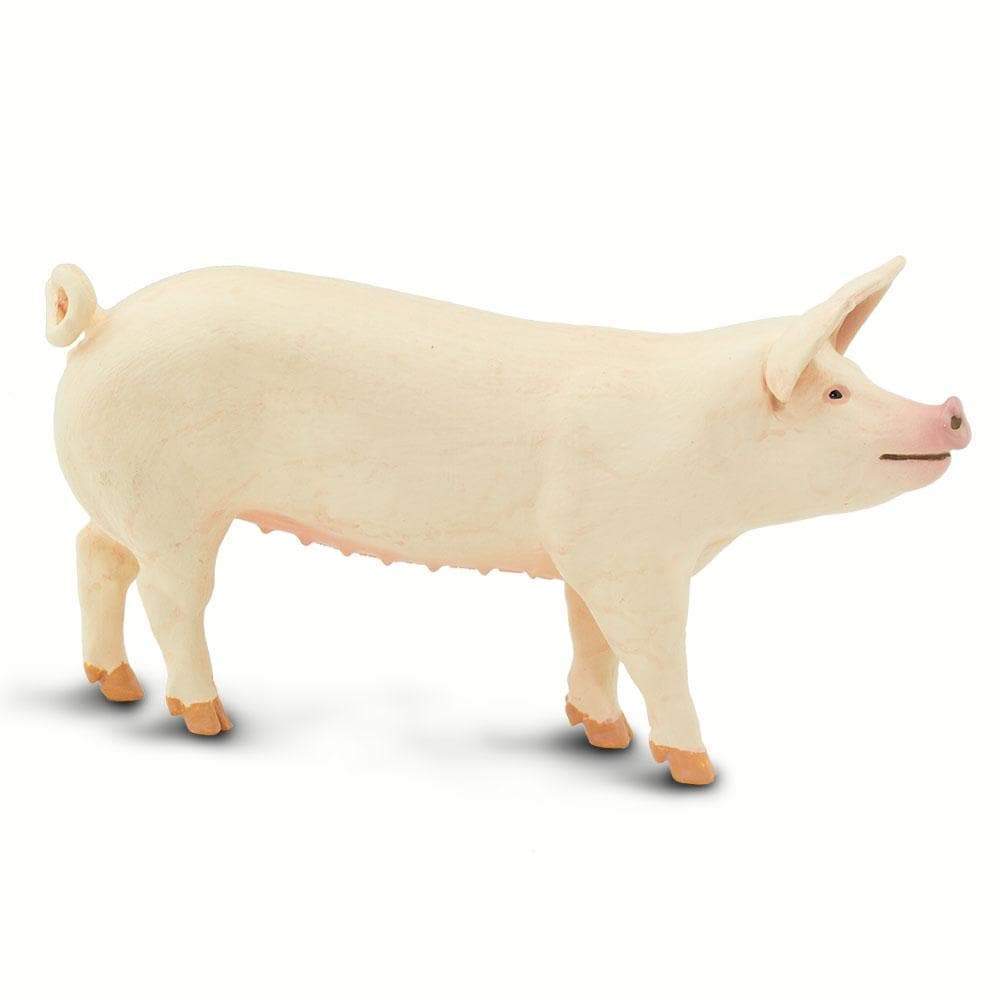 Large White Pig Toy | Incredible Creatures | Safari Ltd®