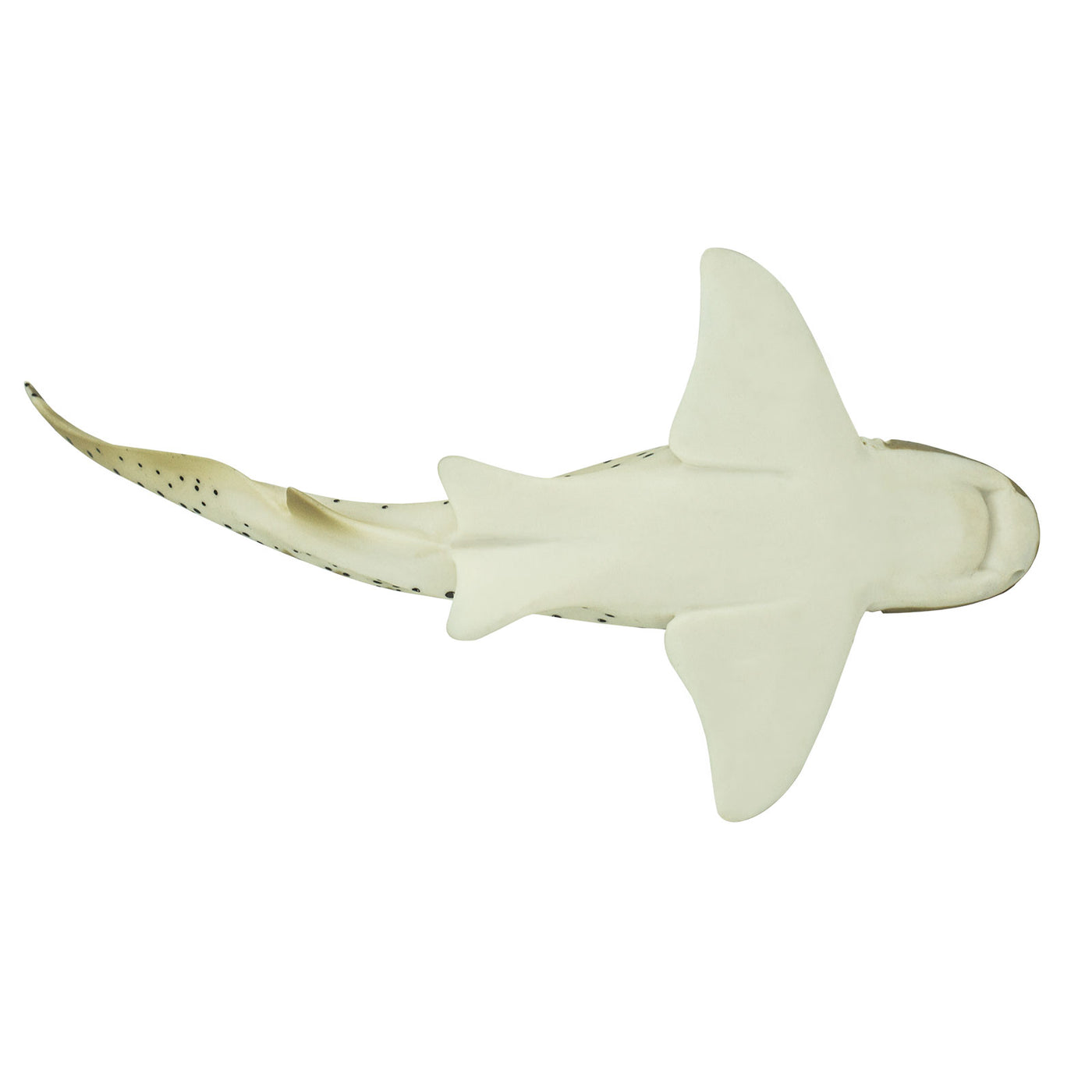 Zebra Shark Toy | Sea Life | Safari Ltd®