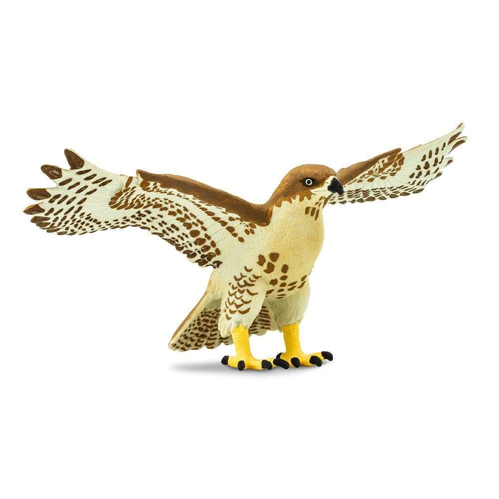 Red-Tailed Hawk Toy | Wildlife Animal Toys | Safari Ltd®