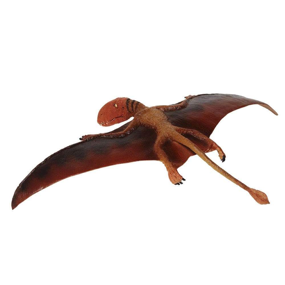 Dimorphodon Toy | Dinosaur Toys | Safari Ltd®