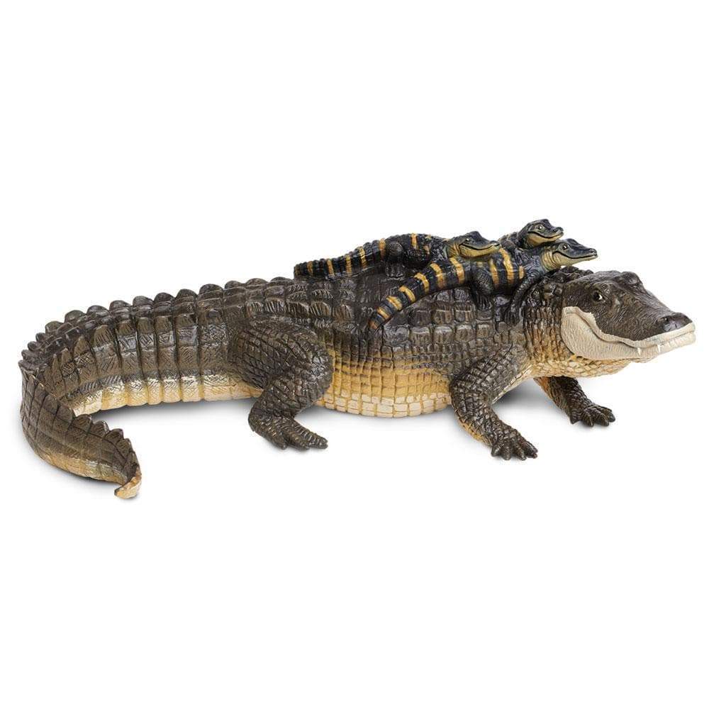 Naef　Alligator　プルトイ Naef Alligator プルトイ