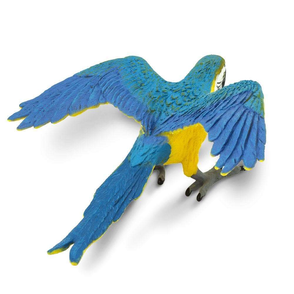 Blue & Gold Macaw Toy | Wildlife Animal Toys | Safari Ltd®