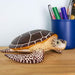 Sea Turtle Toy | Incredible Creatures | Safari Ltd®