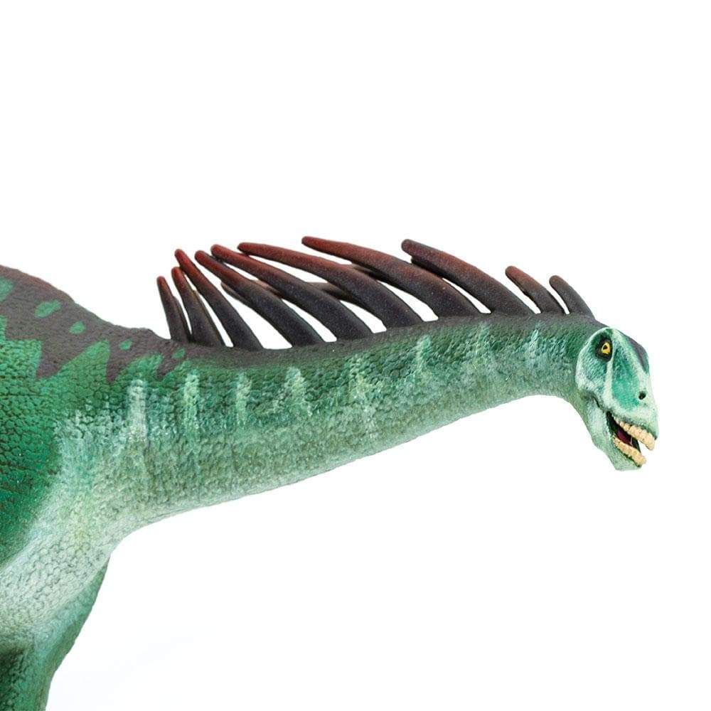 Amargasaurus Toy | Dinosaur Toys | Safari Ltd®