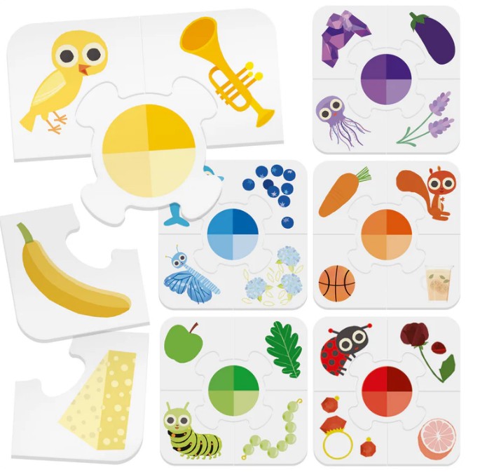Colorito Montessori |  | Safari Ltd®