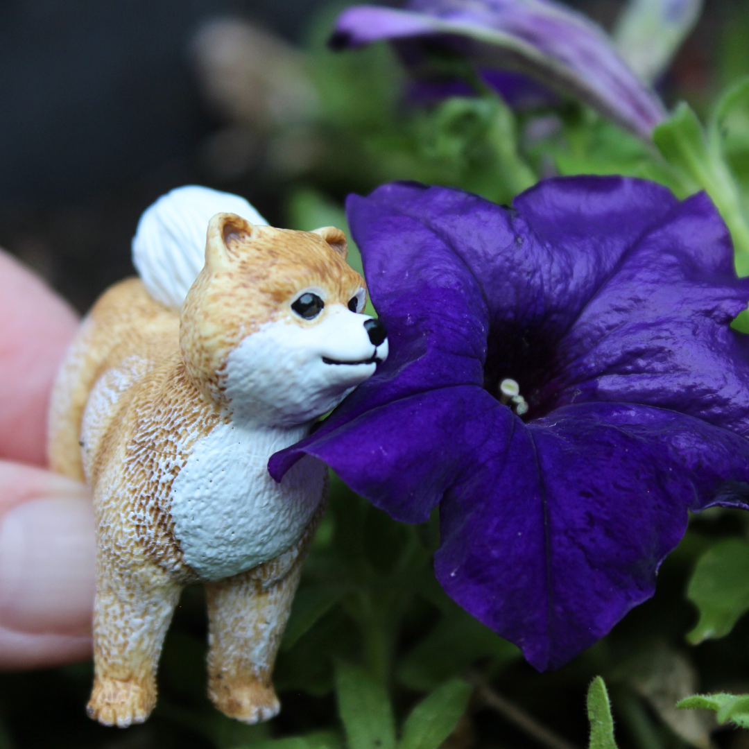 Pomeranian Toy | Safari Ltd® Pomeranian Toy | Safari Ltd®