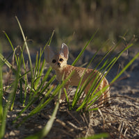 Fennec Fox Toy | Wildlife Animal Toys | Safari Ltd®