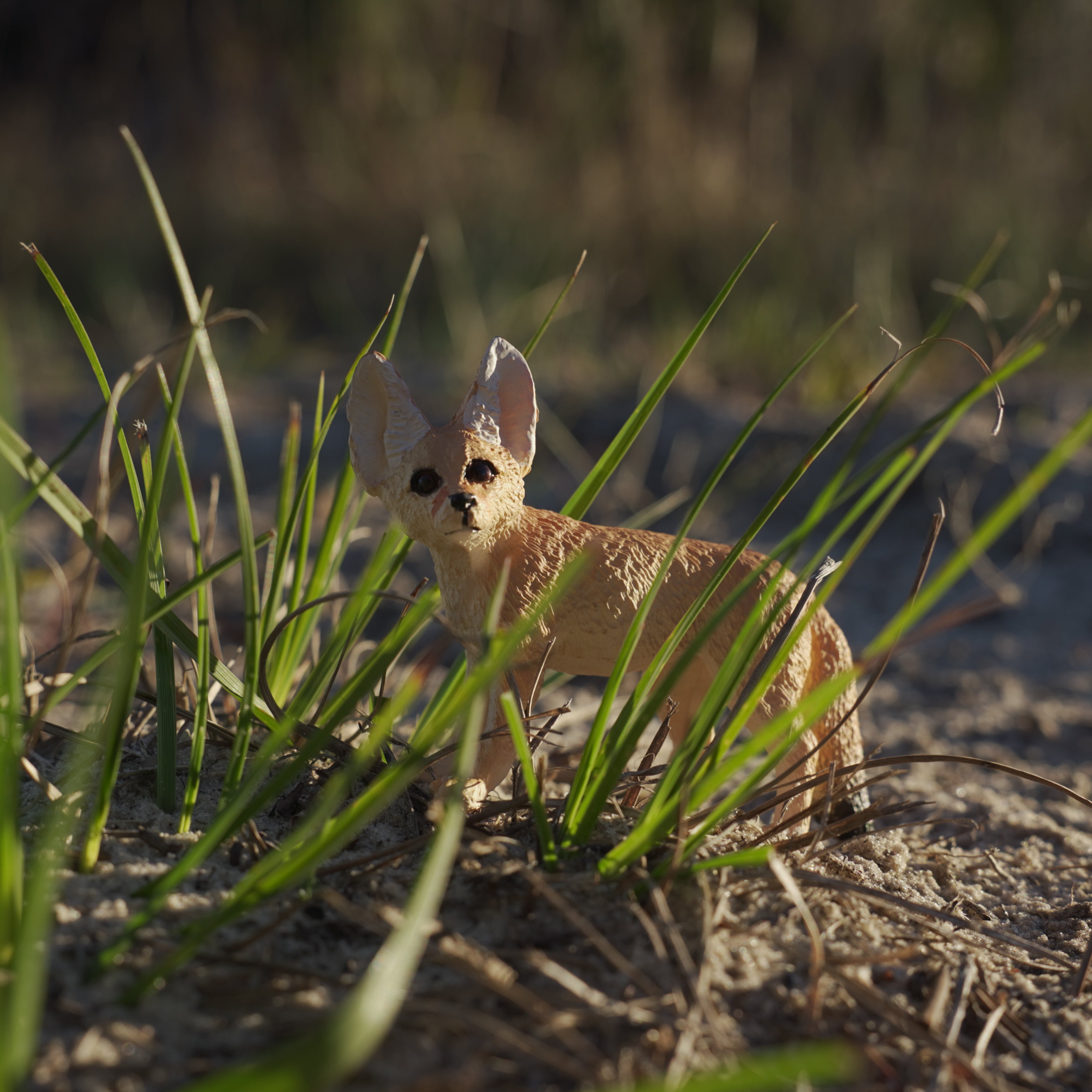 Fennec Fox Toy | Wildlife Animal Toys | Safari Ltd®