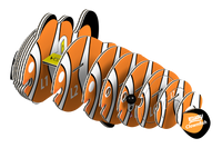 EUGY Clownfish 3D Puzzle | Eugy | Safari Ltd®