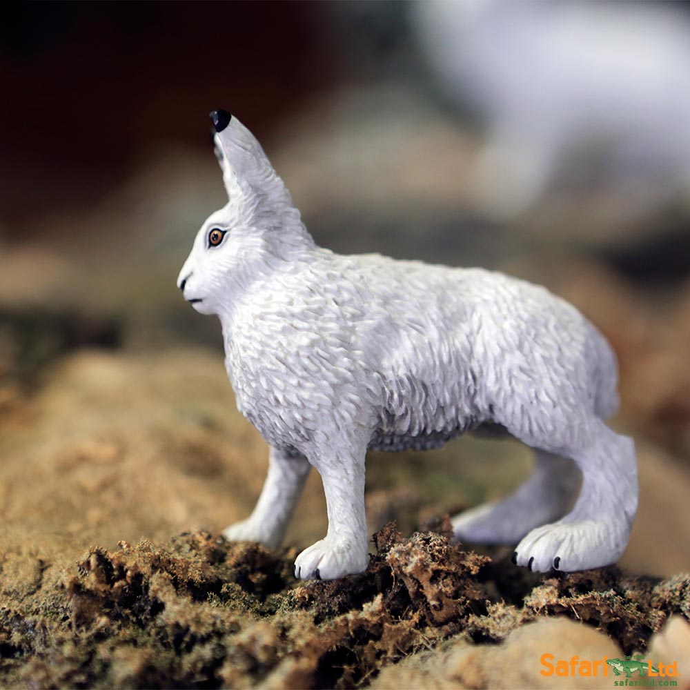 Arctic Hare Toy | Wildlife Animal Toys | Safari Ltd®
