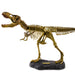 Dr. Steve Hunters GEOWorld Paleo Expedition Tyrannosaurus Rex Replica Skeleton Kit - 21 pieces |  | Safari Ltd®