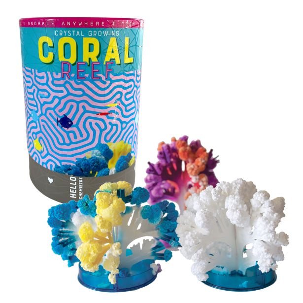 Crystal Growing Coral Reef | Science Kit Toy | Safari Ltd®