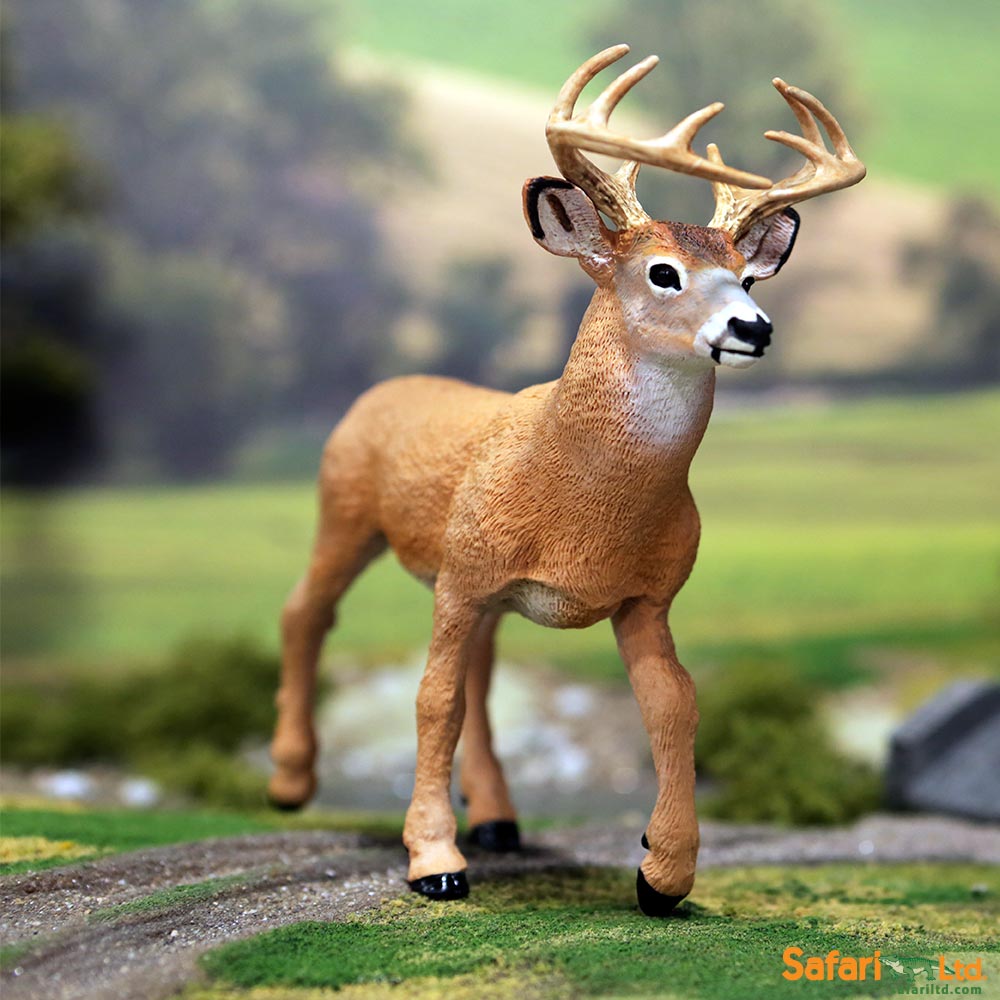 Whitetail Deer Buck Toy | Safari Ltd®