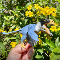 Utahraptor Toy Figure | Dinosaur Toys | Safari Ltd®