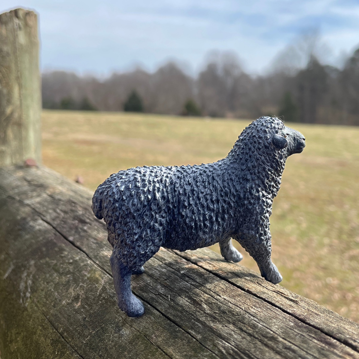 Black Sheep Toy | Safari Ltd® Black Sheep Toy | Safari Ltd®