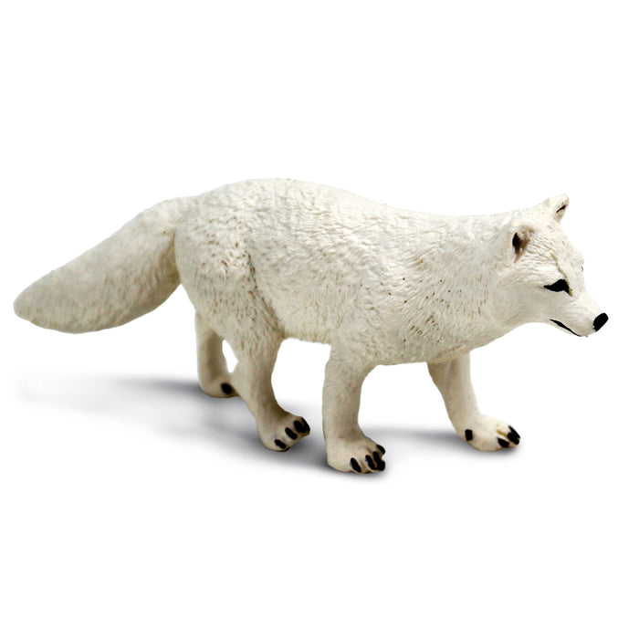 Arctic Fox Toy Figure | WS Naw | Safari Ltd®