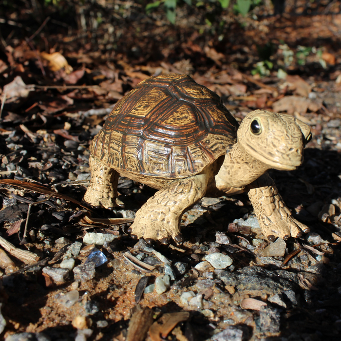 Tortoise Toy | Incredible Creatures | Safari Ltd®