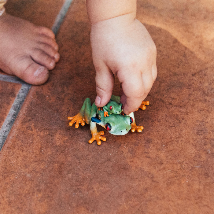 Red eyed deals tree frog plush