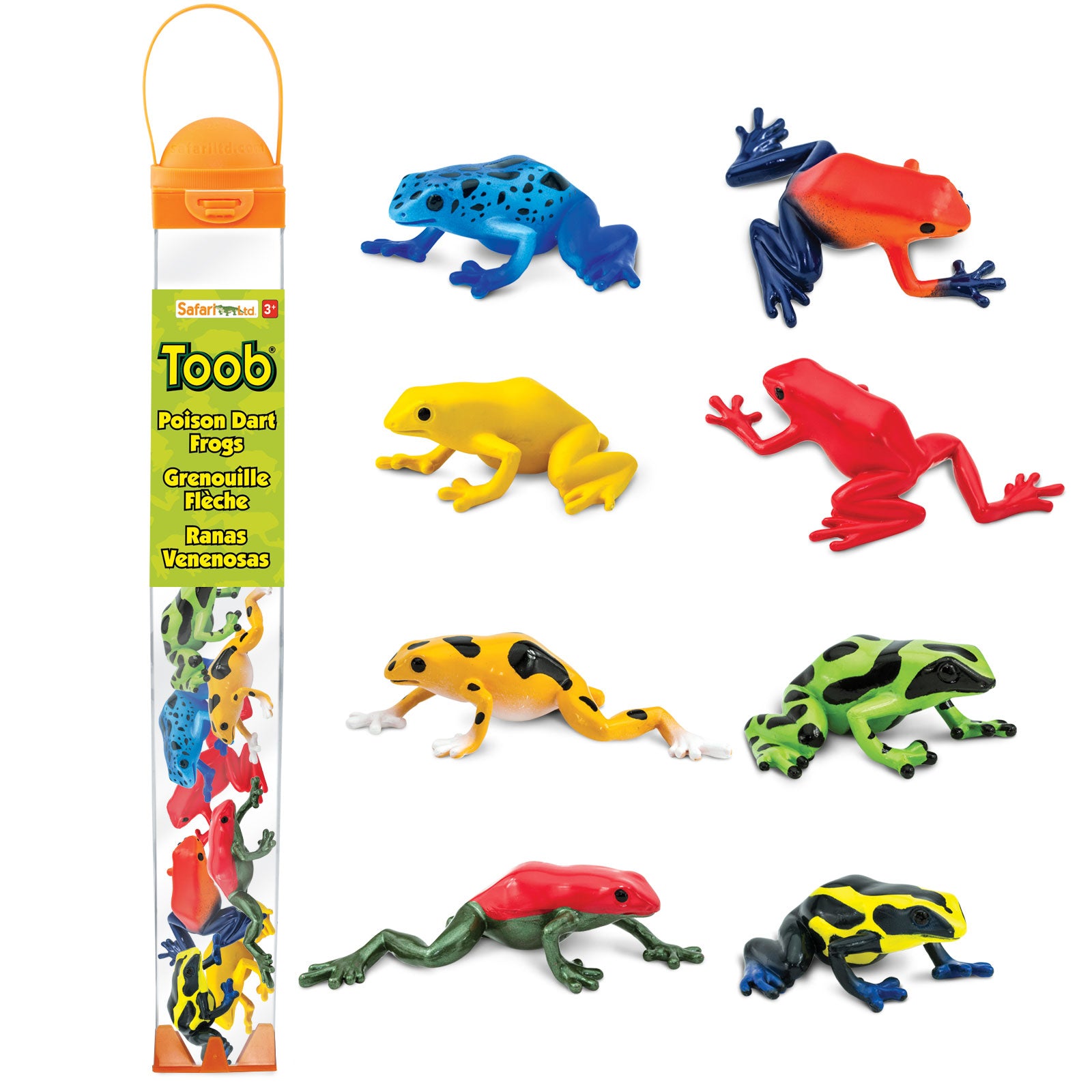 Poison Dart Frogs TOOB® | Safari Ltd®