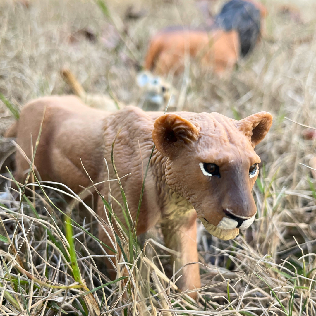 Lioness Toy - Realistic Lioness Figurine from Wild Safari® Wildlife ...