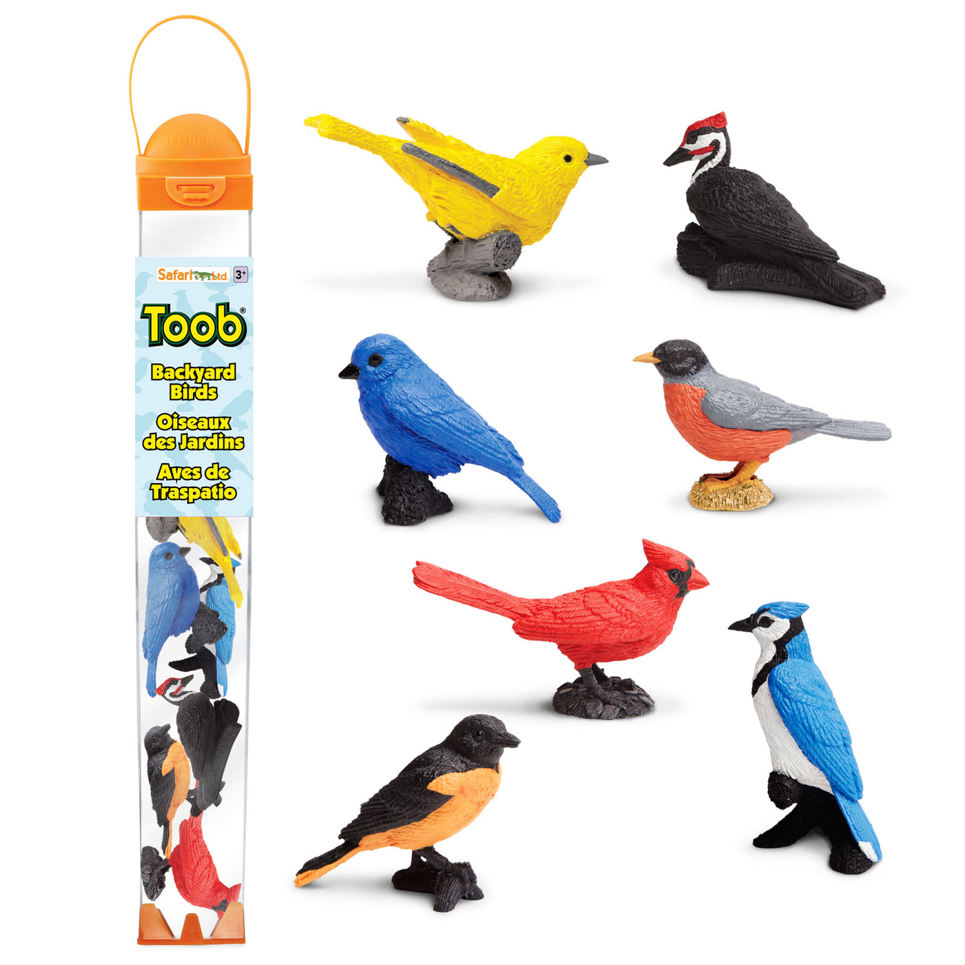 Backyard Birds TOOB – Mini Bird Figurines for Kids, Boys and Girls