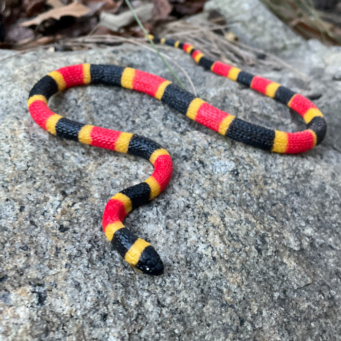 Coral Snake Baby Toy | Incredible Creatures | Safari Ltd®