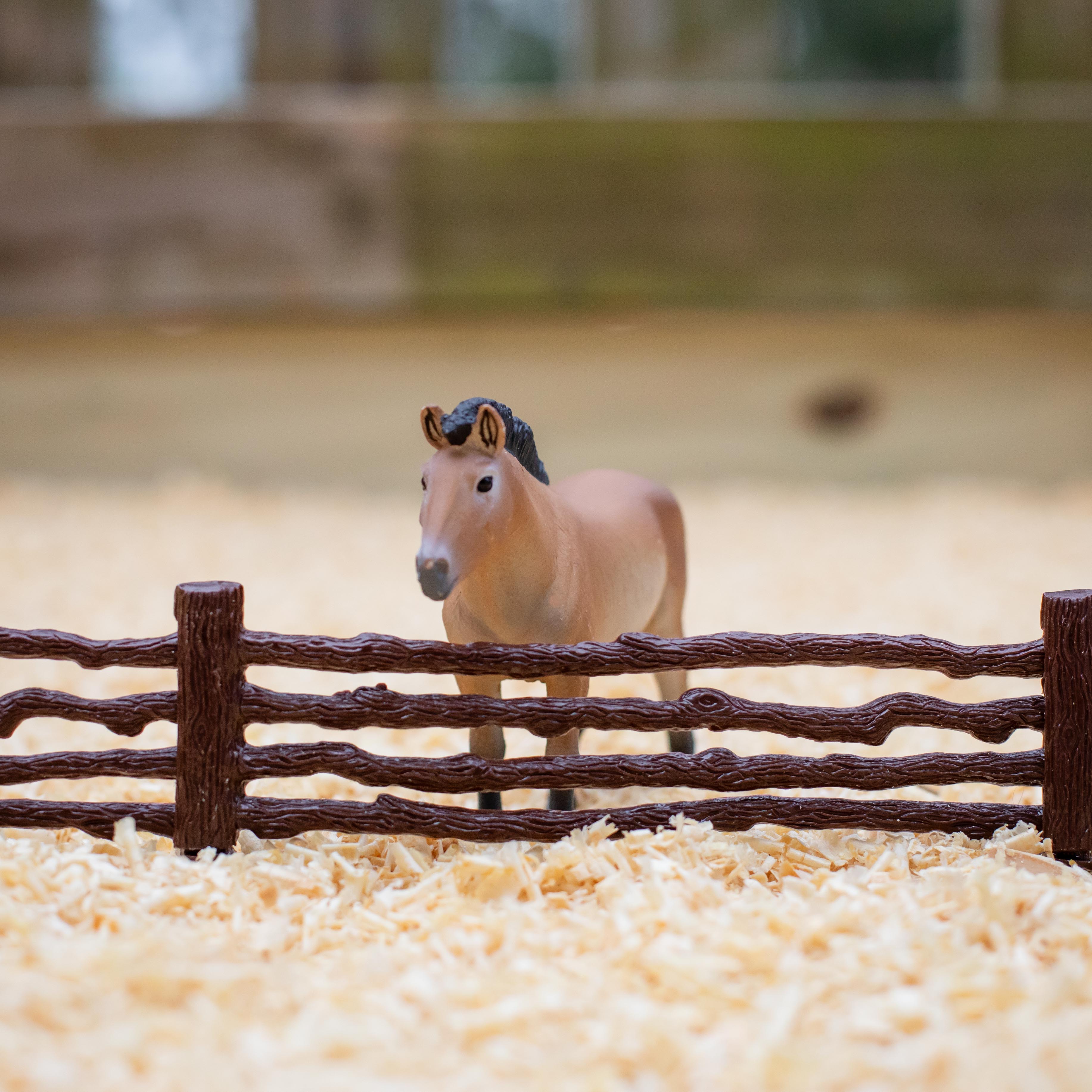 Przewalski's Horse Toy | Safari Ltd®