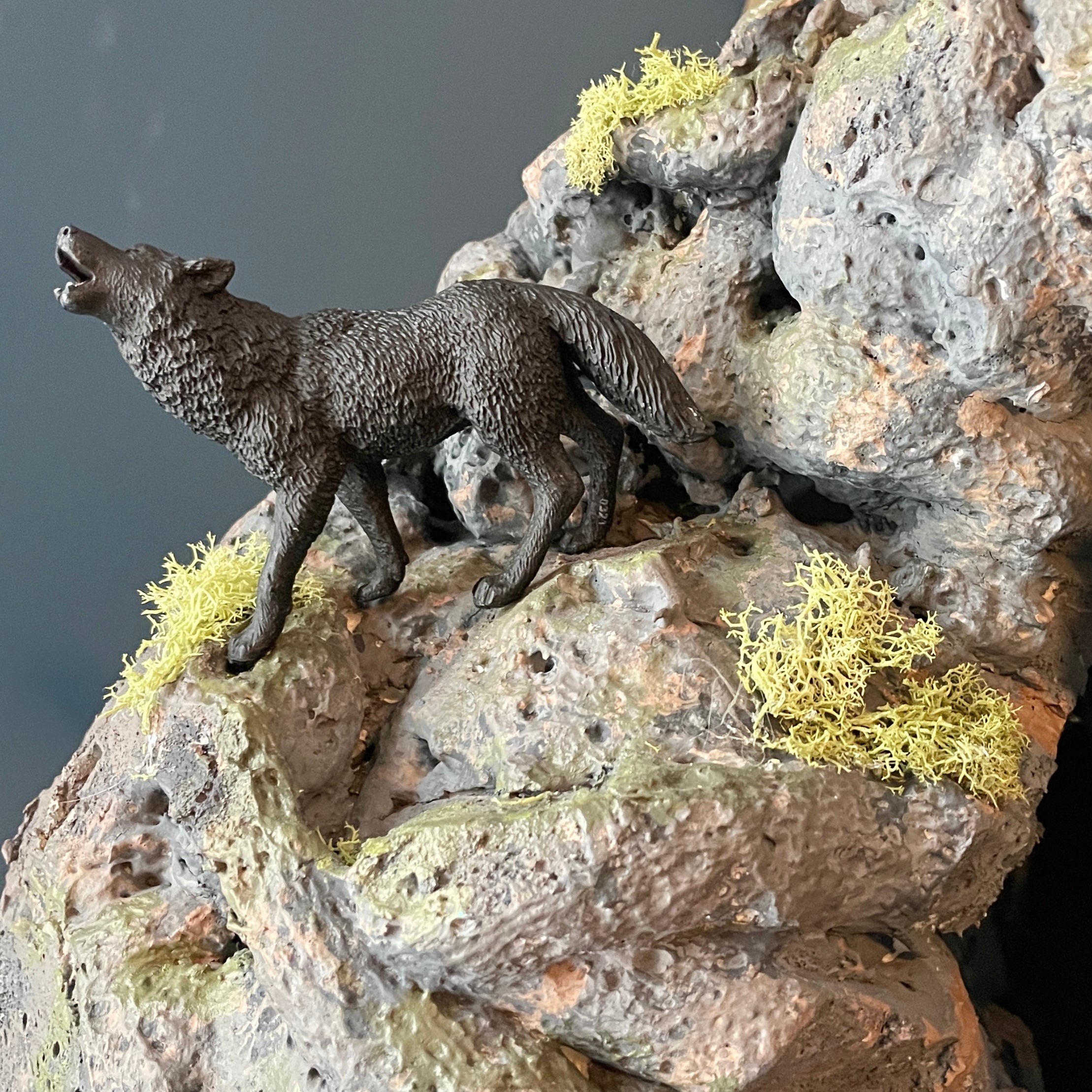 Black Wolf Figurine – Realistic Wildlife Toy | Safari Ltd