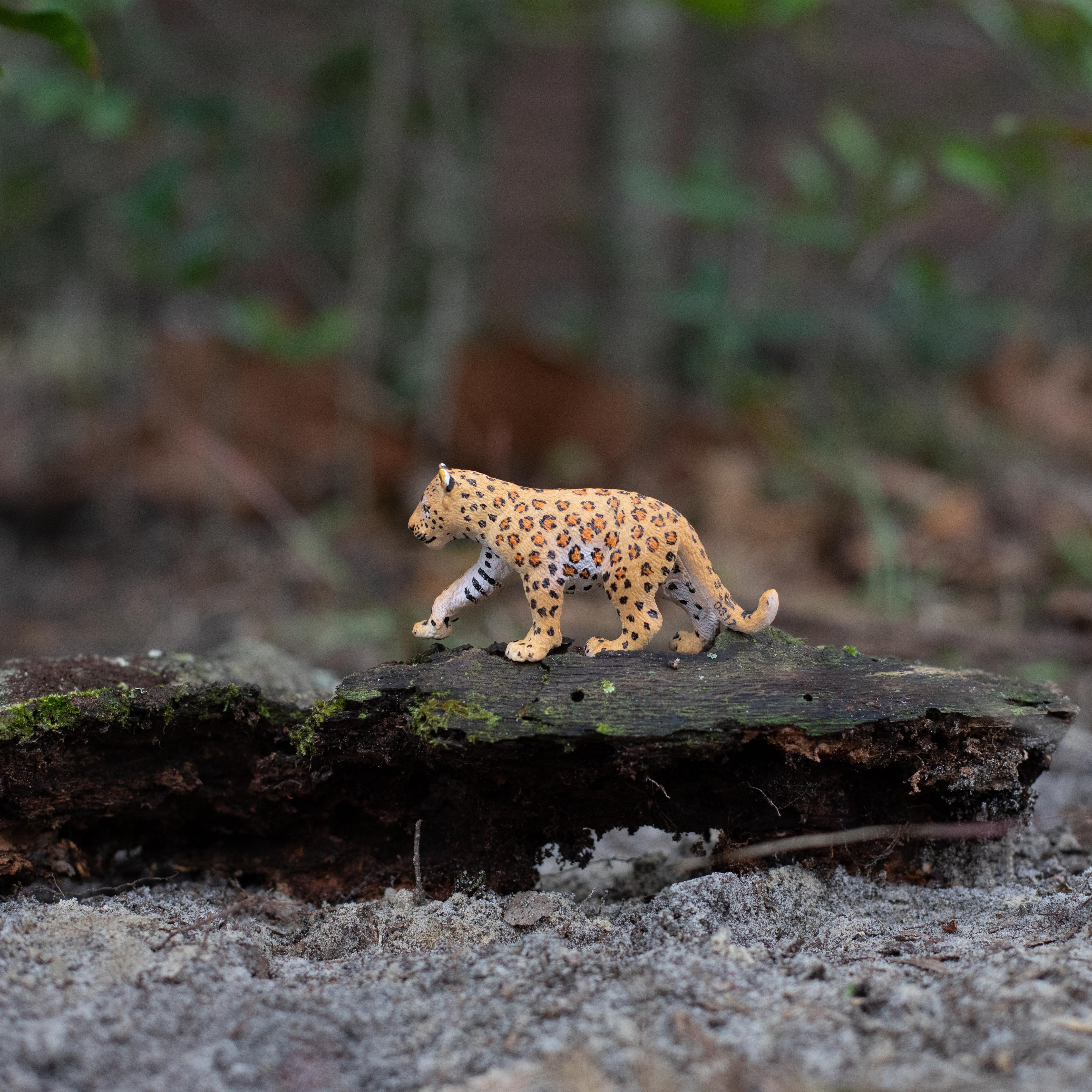 Leopard Cub Toy | Safari Ltd®