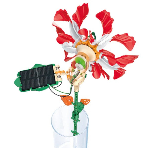 Introducing the SolarFlower - Ruby Ripple by Thames & Kosmos: a red and white plastic solar-powered flower model with an exposed mechanical design. Its open petals reveal intricate gears and components, all powered by an attached solar panel. Presented in a clear glass container, this intriguing educational toy vividly demonstrates renewable energy concepts.