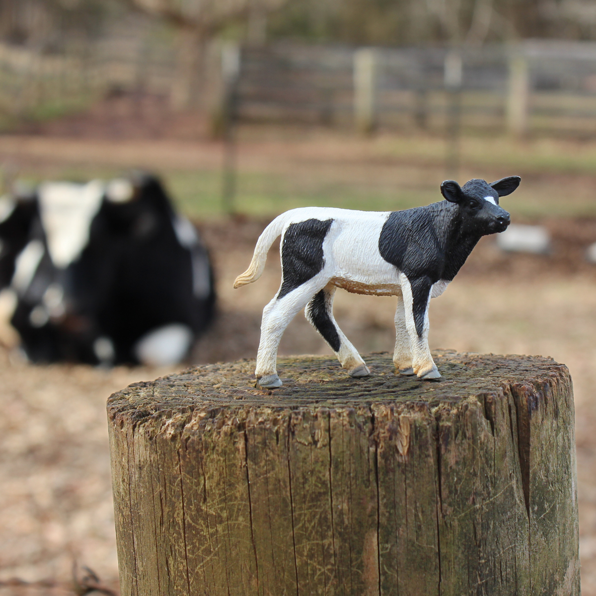 Holstein Calf Toy | Farm | Safari Ltd®