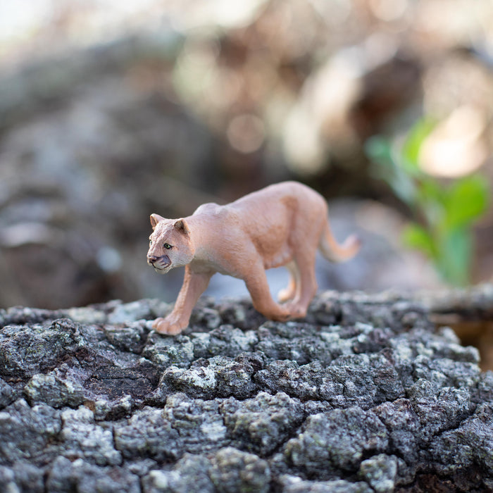 Mountain Lion Toy | Wildlife Animal Toys | Safari Ltd®