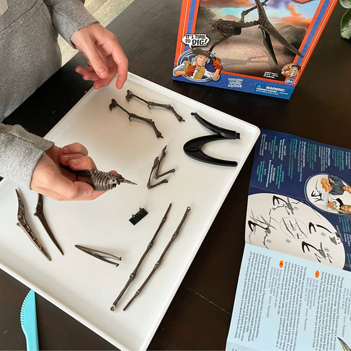 Dr. Steve Hunters GEOWorld Flying Monsters Dig Pteranodon Excavation Kit - 13 pieces |  | Safari Ltd®
