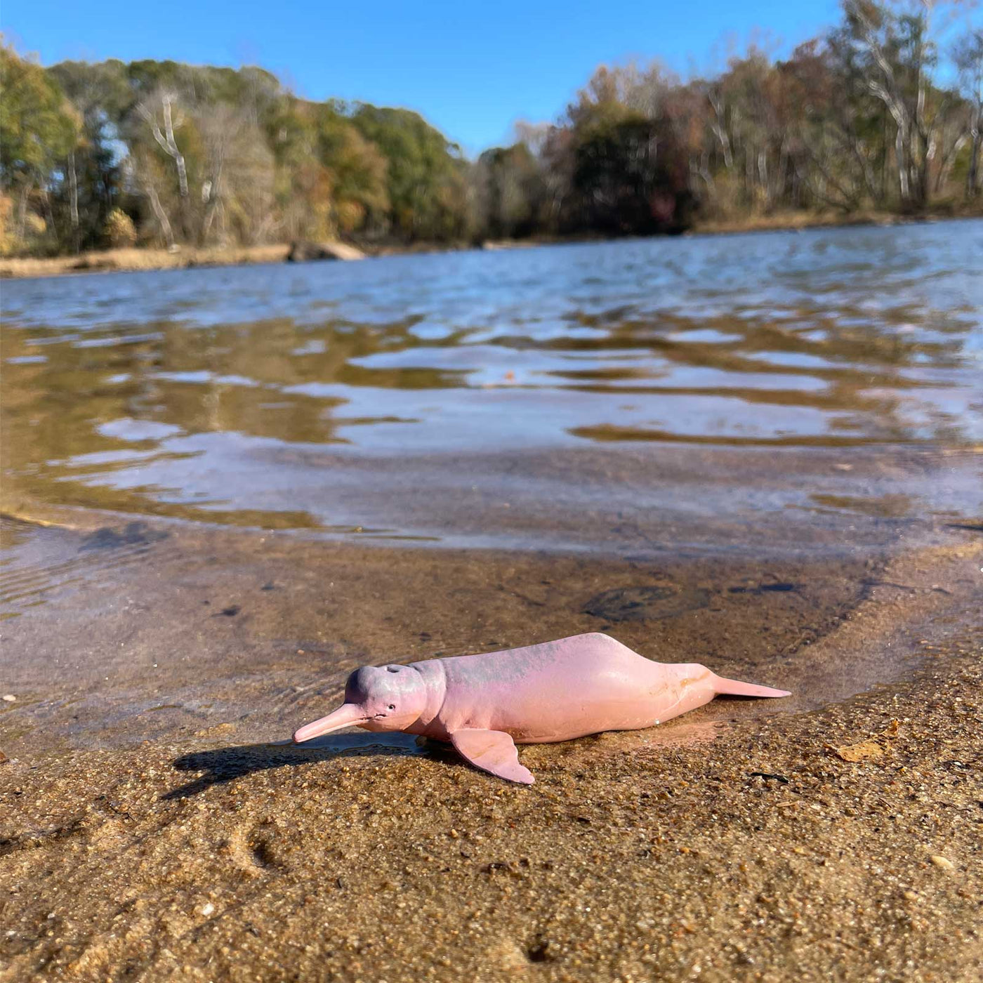 Amazon River Dolpin Toy Figurine