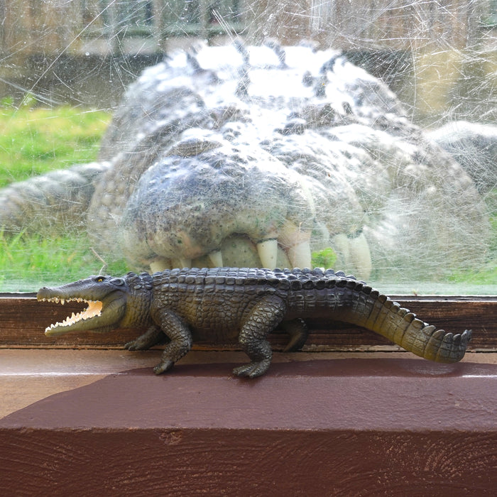 Saltwater Crocodile Toy | Incredible Creatures | Safari Ltd®
