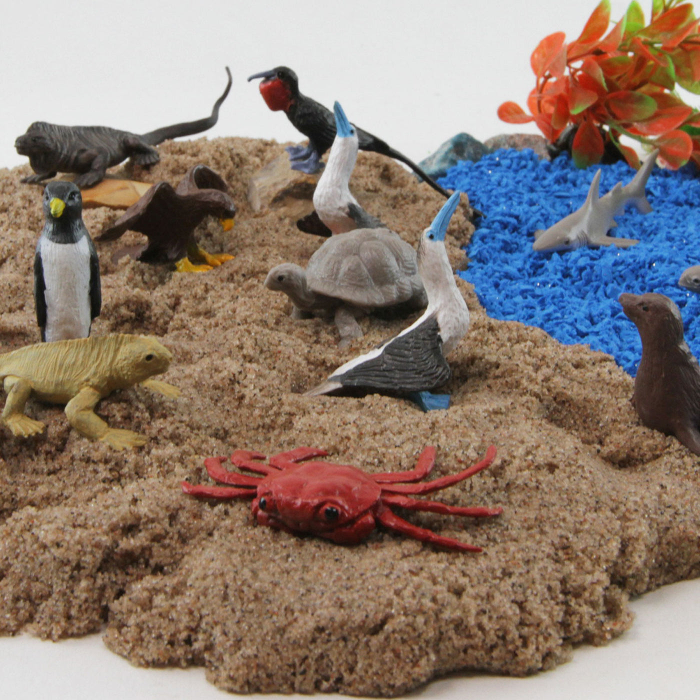 Galapagos Toy Animals TOOB® | Safari Ltd®
