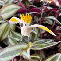 Cockatoo Toy | Wildlife Animal Toys | Safari Ltd®