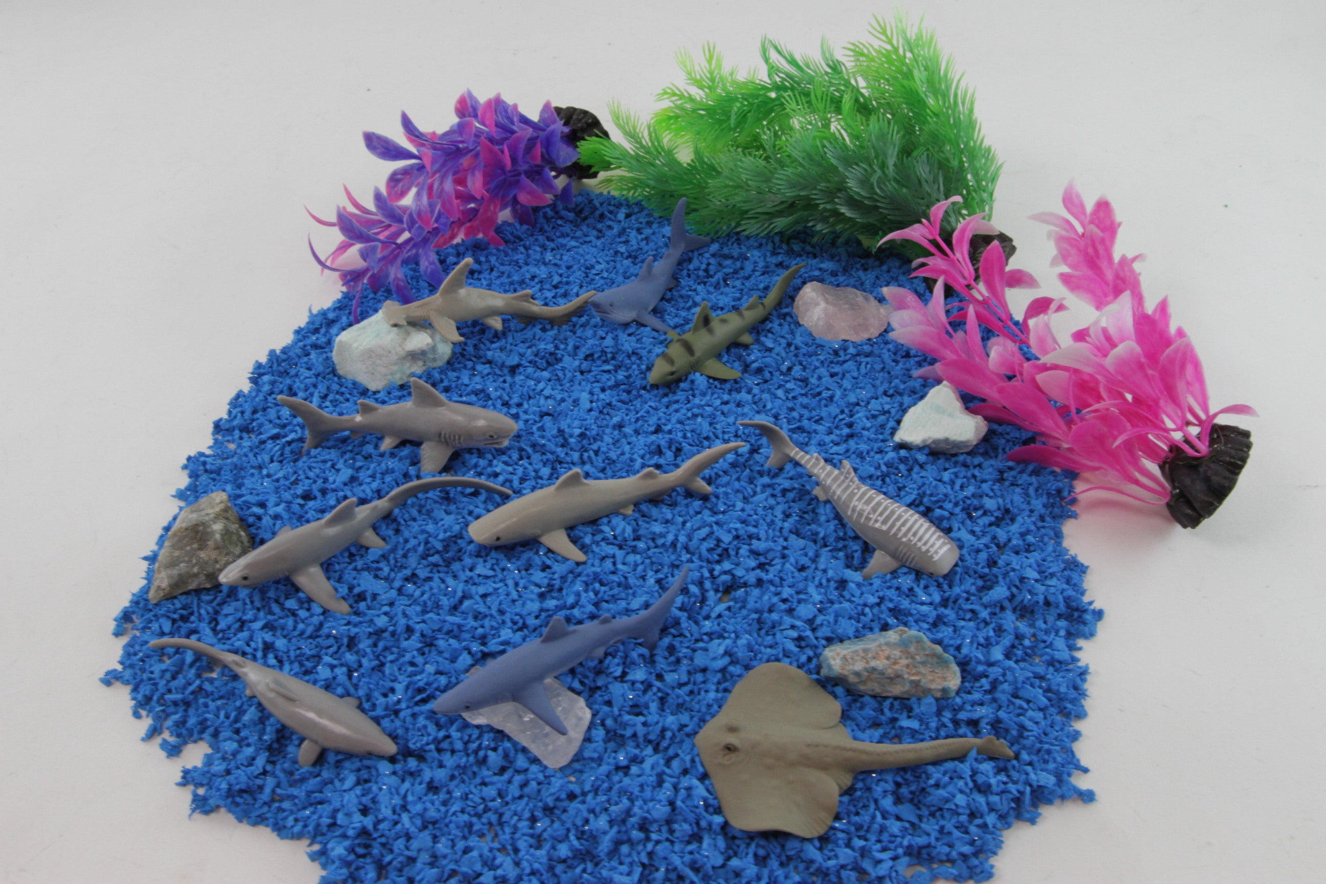 Sharks TOOB® | TOOBS® - Mini Toys | Safari Ltd®