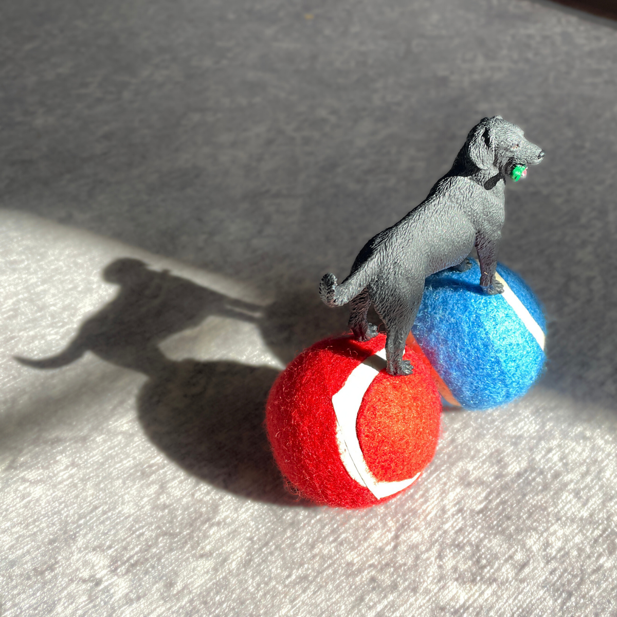 Black Labrador Dog Toy Safari Ltd Safari Ltd