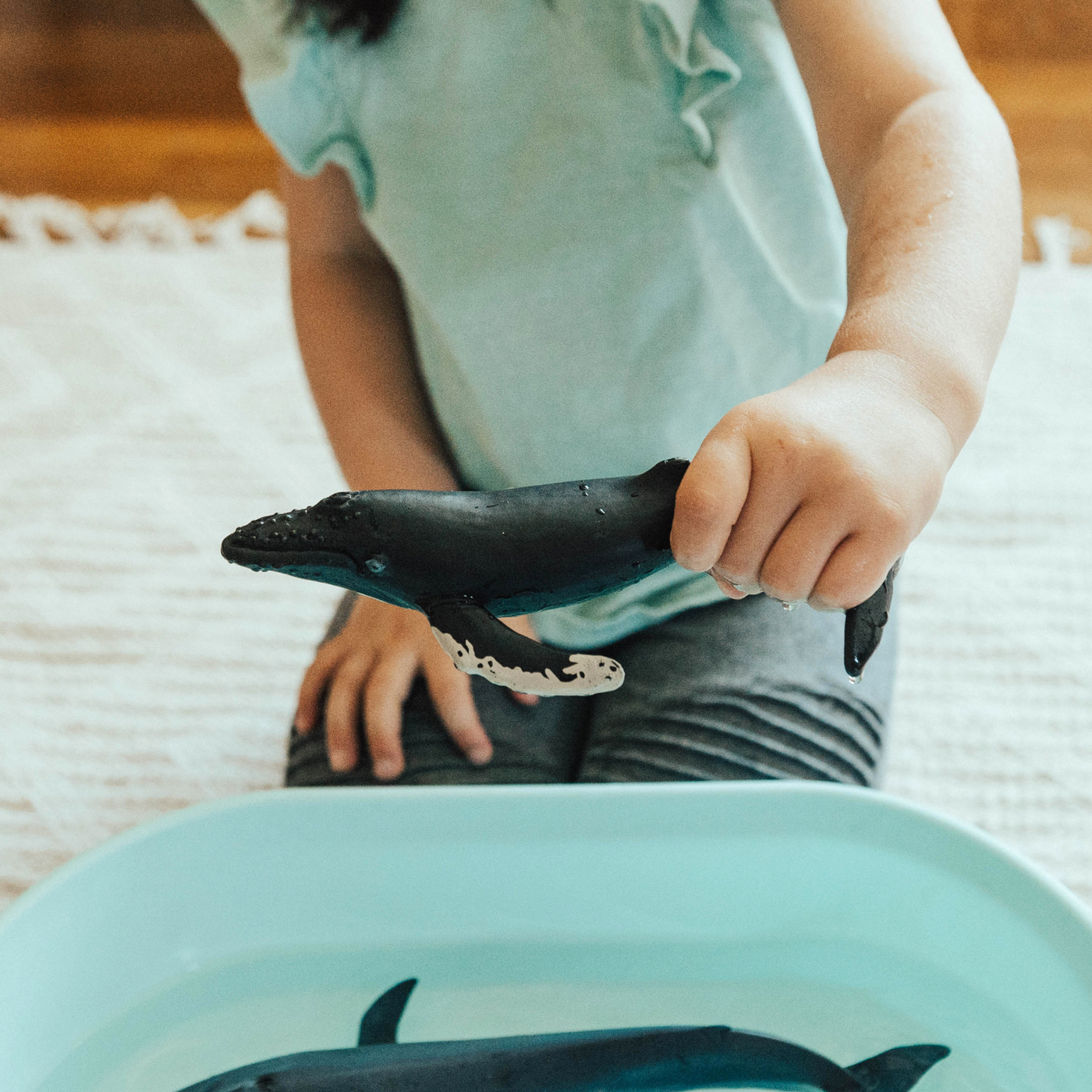 Humpback Whale Toy | Sea Life | Safari Ltd®