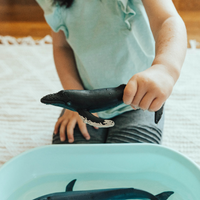 Humpback Whale Toy | Sea Life | Safari Ltd®