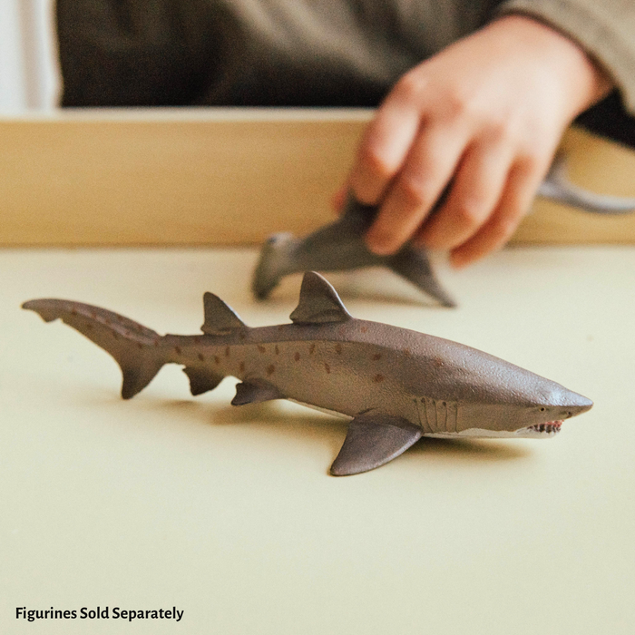 Sand Tiger Shark Toy | Sea Life | Safari Ltd®