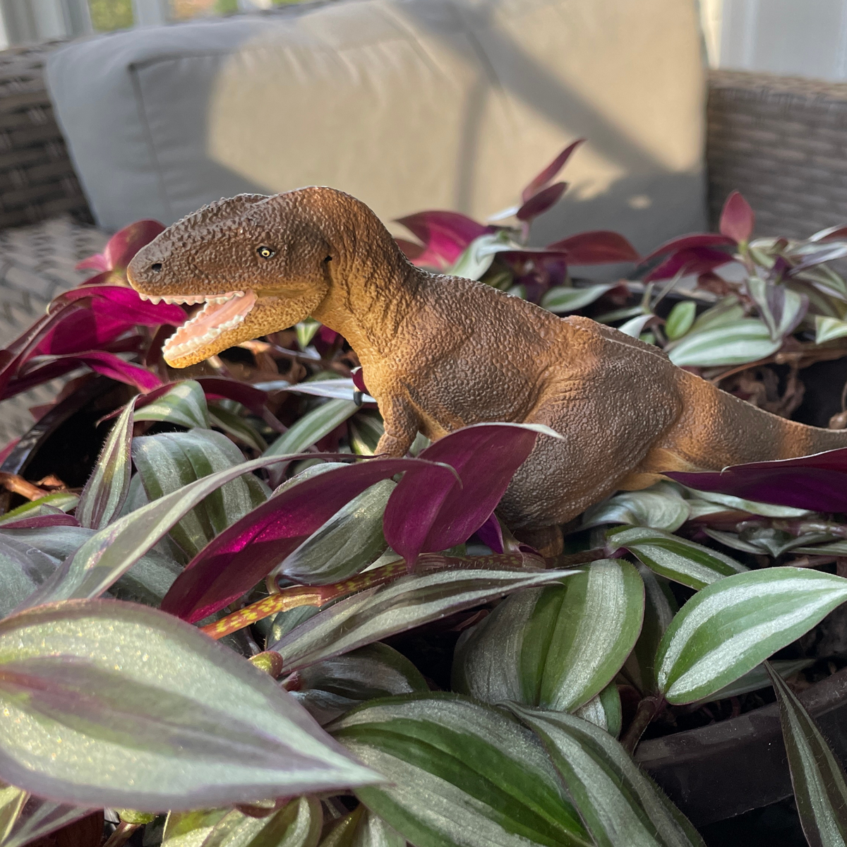 Safari Ltd. Carcharodontosaurus Dinosaurier-Figur – Detailgetreu Handbemalt, Pädagogisches Spielzeug Ab 3 Jahren