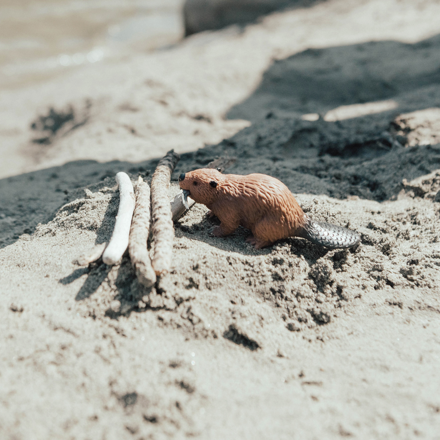 Beaver Toy | Wildlife Animal Toys | Safari Ltd®