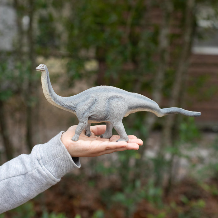 Apatosaurus Toy | Dinosaur Toys | Safari Ltd®