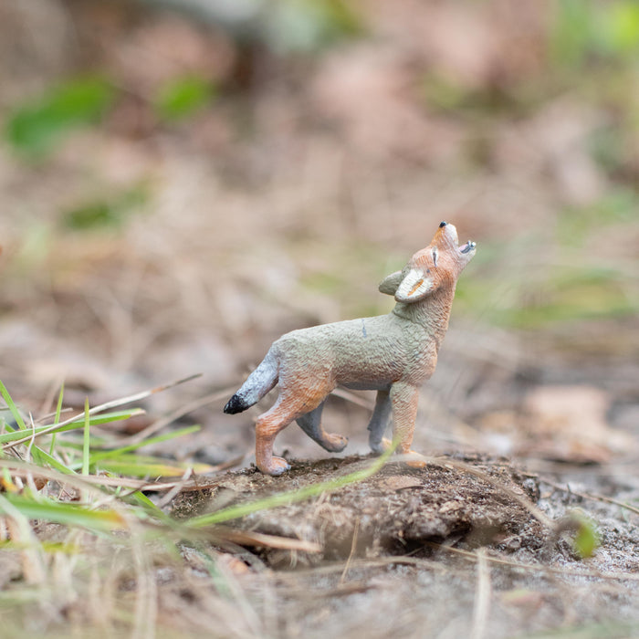 Coyote Pup Toy | Wildlife Animal Toys | Safari Ltd®