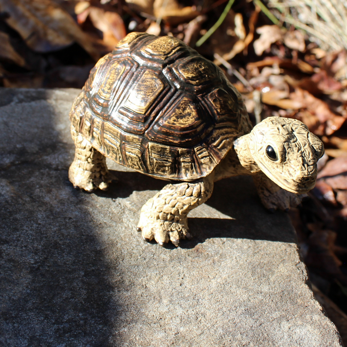 Tortoise Toy | Incredible Creatures | Safari Ltd®